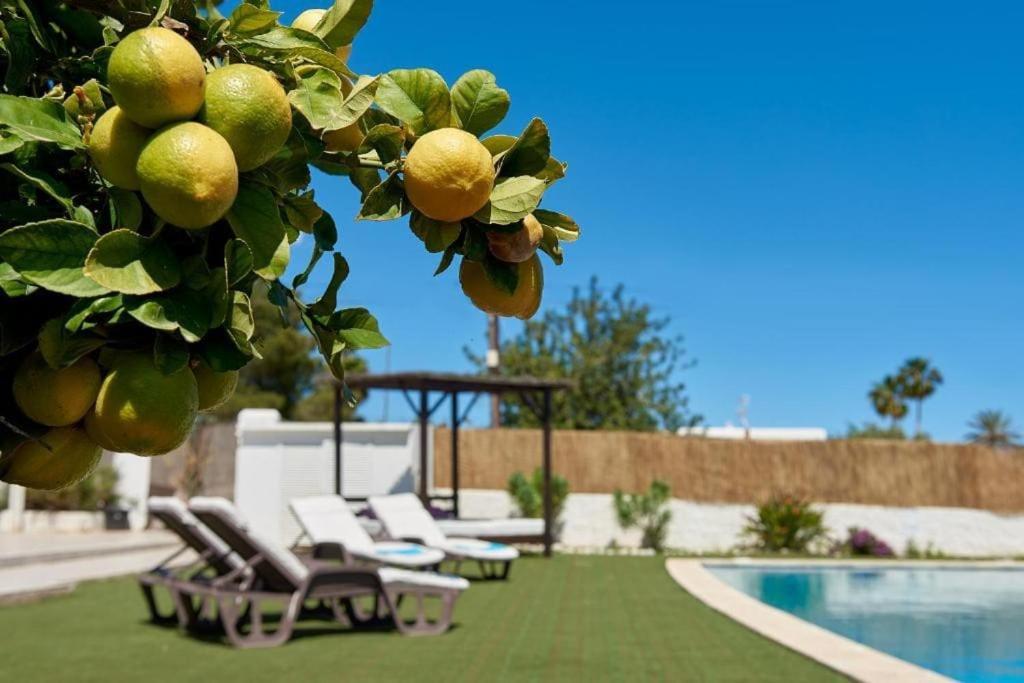 The Lovely Villa Ibiza Exterior foto